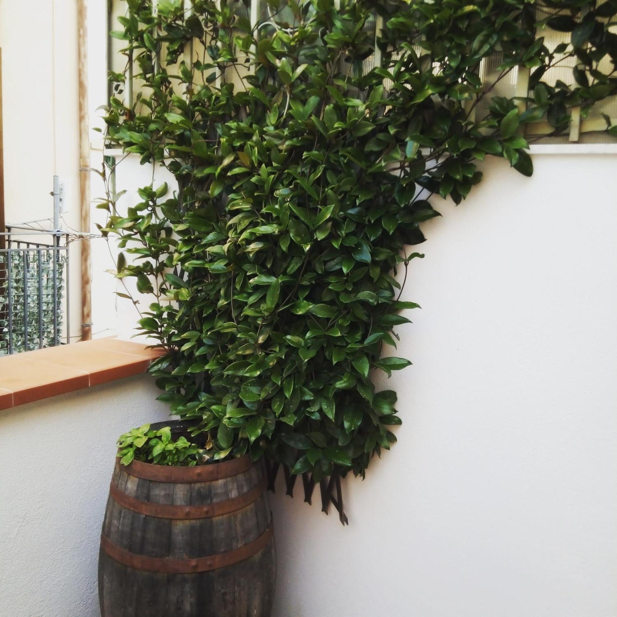 Appartement Il Terrazzino Sul Kemonia Palermo